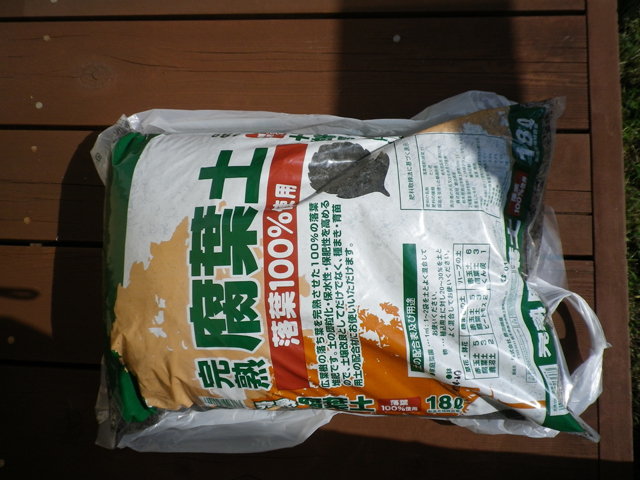 IMGP1257.jpg