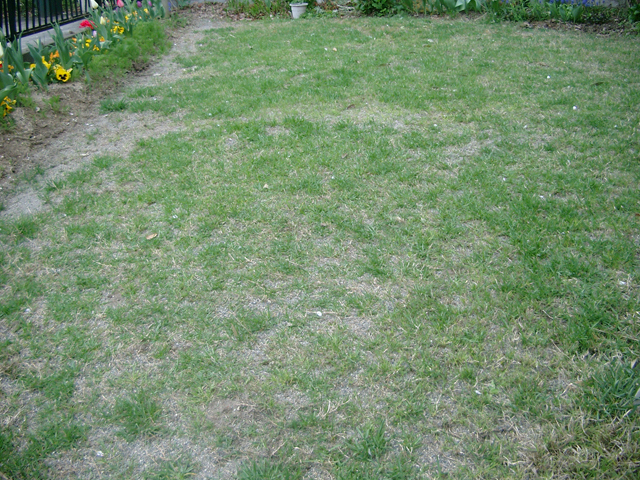 IMGP3243.jpg