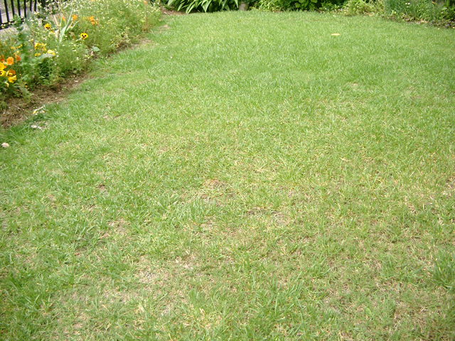 IMGP3324.jpg