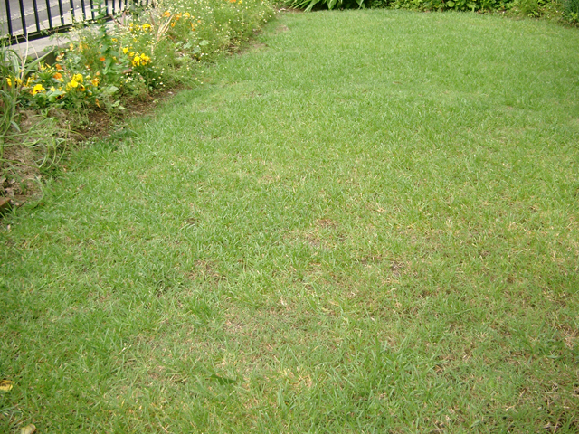 IMGP3331.jpg