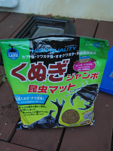 IMGP3491.jpg