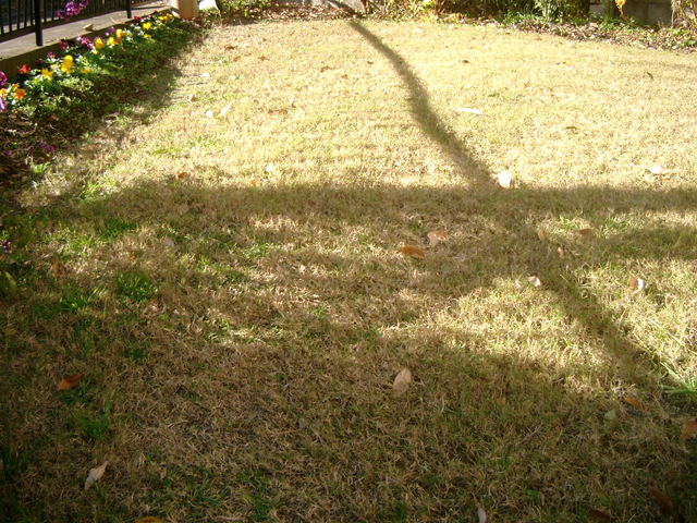 IMGP4218.jpg