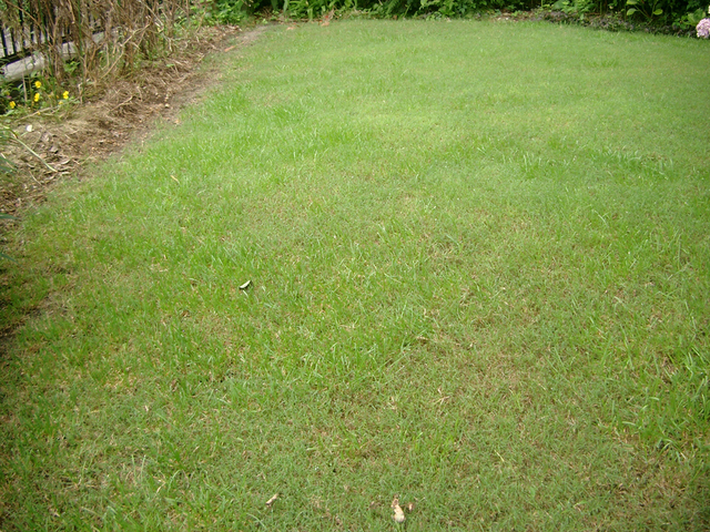 IMGP4480.jpg