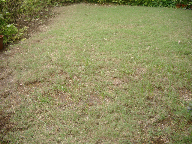 IMGP5655.jpg