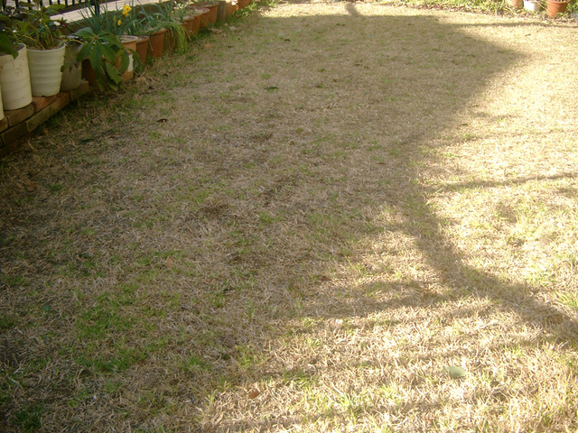 IMGP6859.jpg