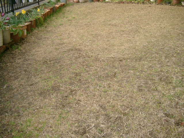IMGP6880.jpg