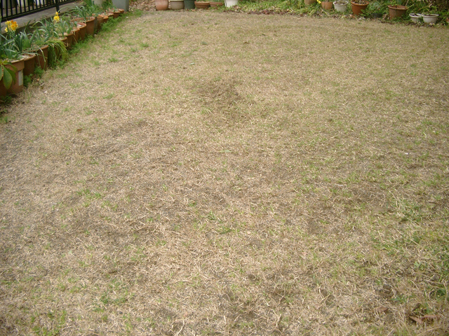IMGP6893.jpg