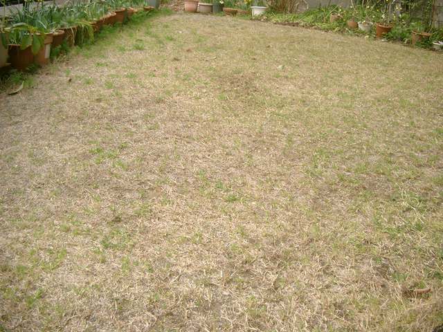 IMGP6903.jpg